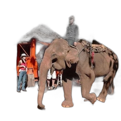 animal, creature, concept art, 3d render transparent PNG cut-out