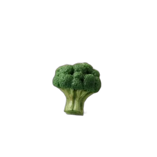 food, crown, tree, animal transparent PNG cut-out