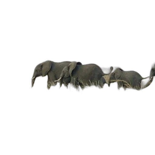 animal, creature, staff, weapon transparent PNG cut-out