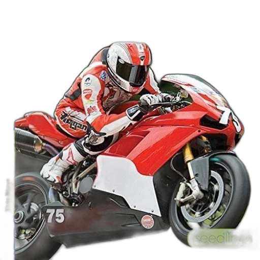 photorealistic, 3d render, concept art, colorful transparent PNG cut-out