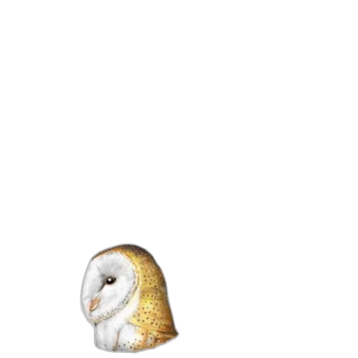 animal, mask, creature, face transparent PNG cut-out