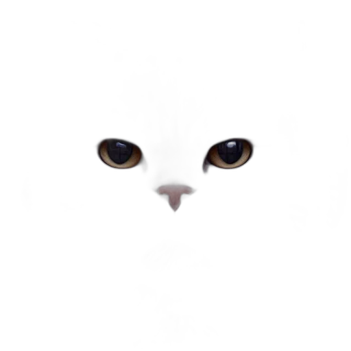 animal, face, mask, creature transparent PNG cut-out