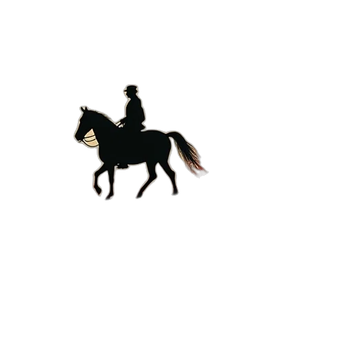 staff, hat, animal, crown transparent PNG cut-out