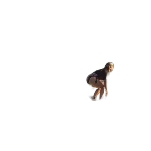 animal, creature, hair, furniture transparent PNG cut-out