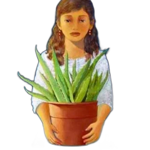 flower, face, jewelry, crown transparent PNG cut-out
