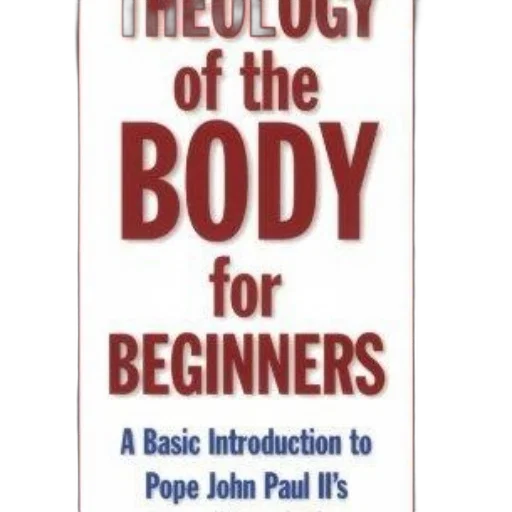image, book, cover, titled transparent PNG cut-out