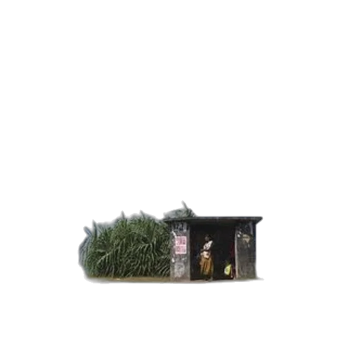 tree, building, hair, car transparent PNG cut-out