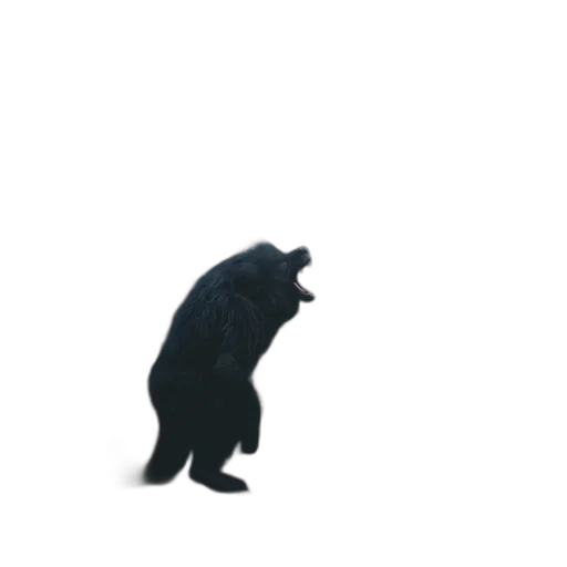 animal, creature, staff, dress transparent PNG cut-out
