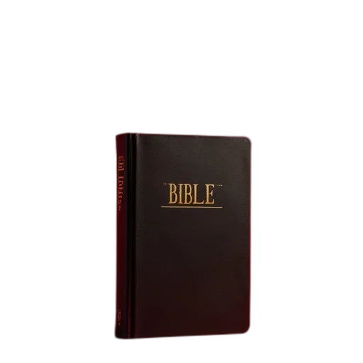 bible, front, red, background transparent PNG cut-out