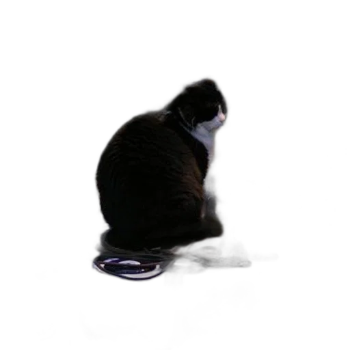 staff, robot, animal, jewelry transparent PNG cut-out