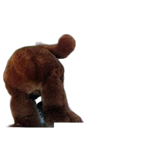 animal, creature, staff, robot transparent PNG cut-out