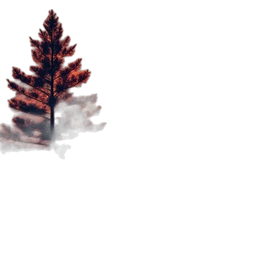 tree, creature, crown, animal transparent PNG cut-out
