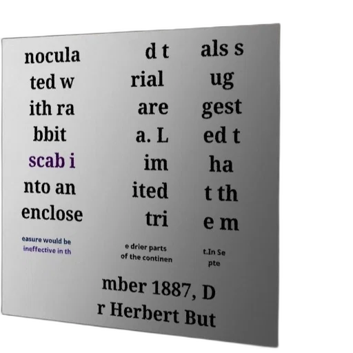 poster, text, about, rabbit transparent PNG cut-out