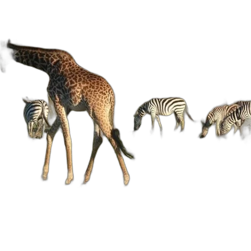 animal, creature, jewelry, 3d render transparent PNG cut-out