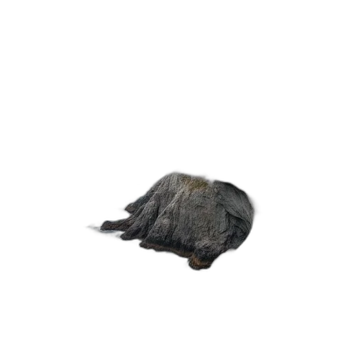 hair, hat, animal, creature transparent PNG cut-out