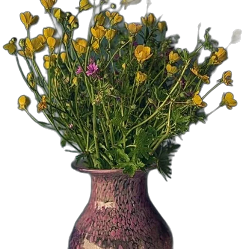 crown, flower, bottle, photorealistic transparent PNG cut-out