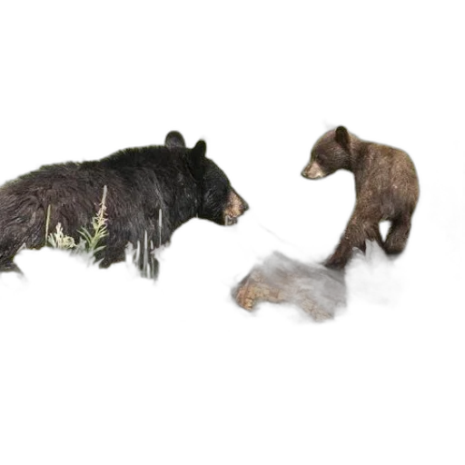 animal, 3d render, concept art, photorealistic transparent PNG cut-out