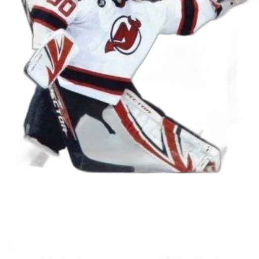 animal, mask, hockey, player transparent PNG cut-out