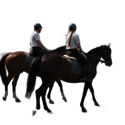 animal, staff, photorealistic, 3d render transparent PNG cut-out