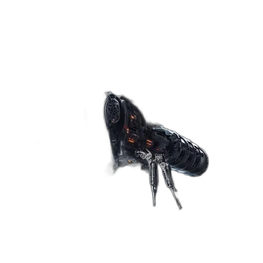 animal, creature, jewelry, shoes transparent PNG cut-out