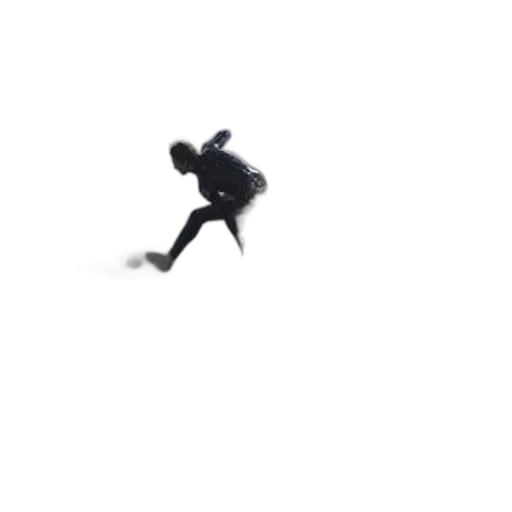 shoes, creature, jacket, animal transparent PNG cut-out