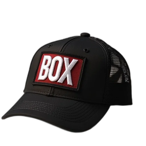 hat, 3d render, box, logo transparent PNG cut-out