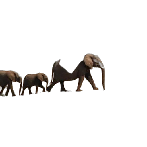 animal, creature, furniture, jewelry transparent PNG cut-out