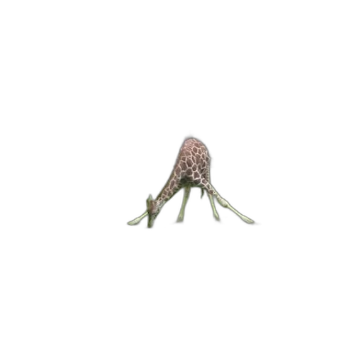 crown, flower, umbrella, jewelry transparent PNG cut-out