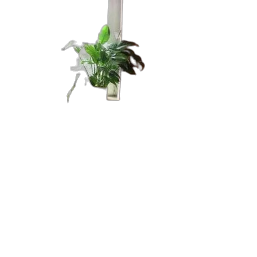 staff, flower, bottle, dragon transparent PNG cut-out