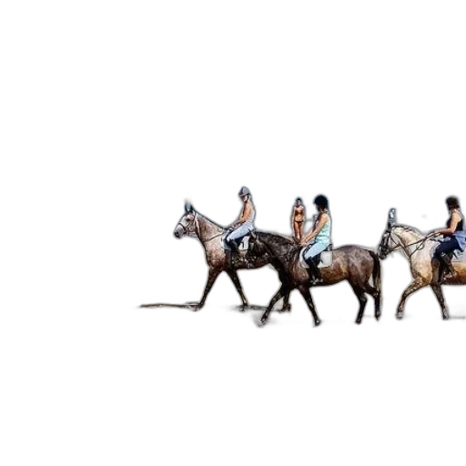 animal, staff, concept art, fantasy art transparent PNG cut-out