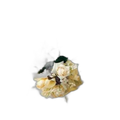 jewelry, flower, food, crown transparent PNG cut-out