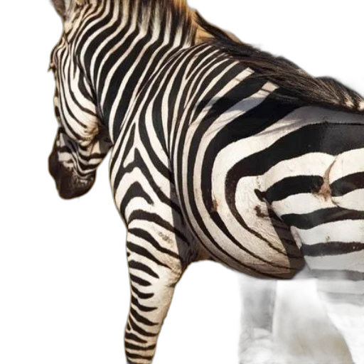 animal, creature, photorealistic, 3d render transparent PNG cut-out