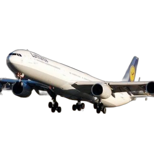 animal, photorealistic, 3d render, lufthansa transparent PNG cut-out
