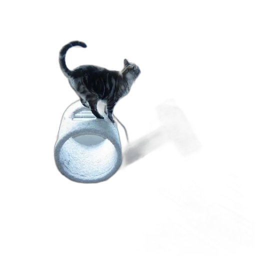 bottle, jewelry, animal, hat transparent PNG cut-out
