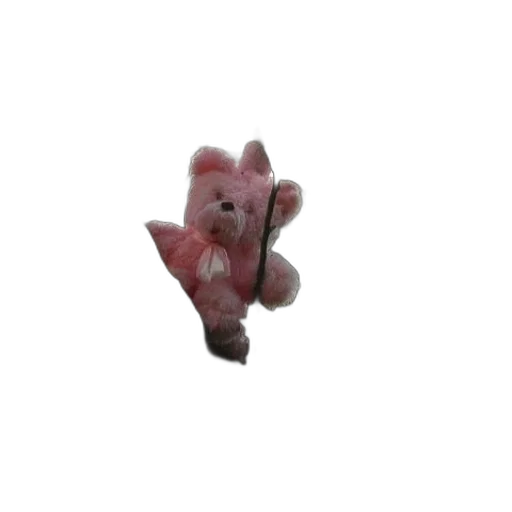 creature, animal, food, jewelry transparent PNG cut-out