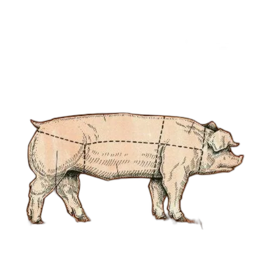 animal, food, creature, dress transparent PNG cut-out
