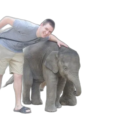 animal, creature, staff, weapon transparent PNG cut-out