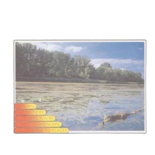 animal, creature, dragon, fog transparent PNG cut-out
