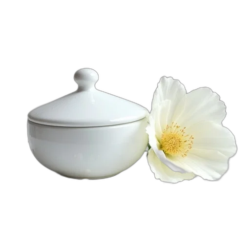 flower, food, jewelry, crown transparent PNG cut-out