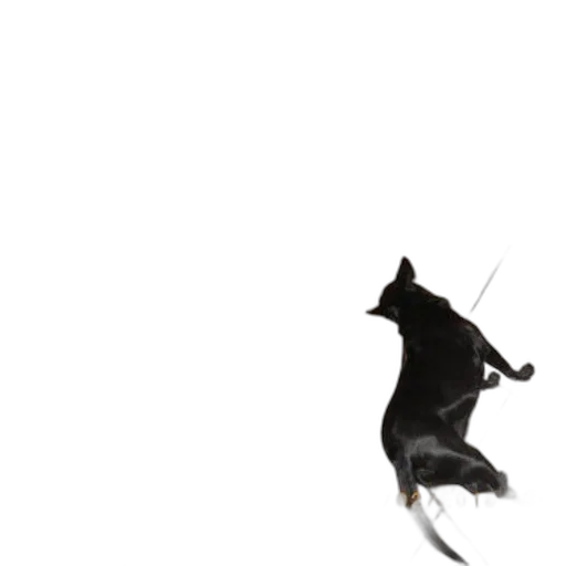 animal, staff, creature, dragon transparent PNG cut-out