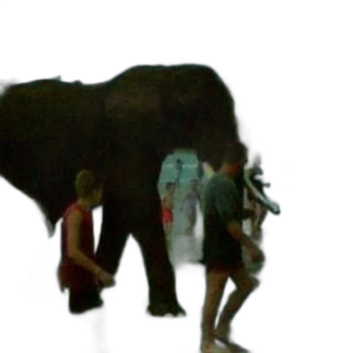 animal, creature, staff, umbrella transparent PNG cut-out