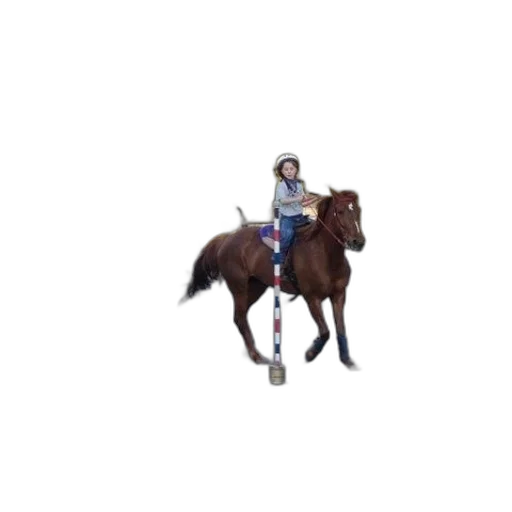 staff, animal, sword, weapon transparent PNG cut-out