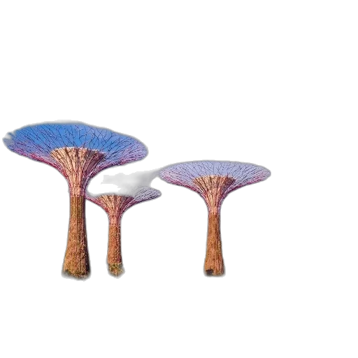 furniture, crown, umbrella, hat transparent PNG cut-out