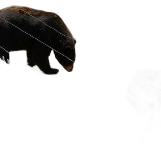 animal, creature, hat, mask transparent PNG cut-out