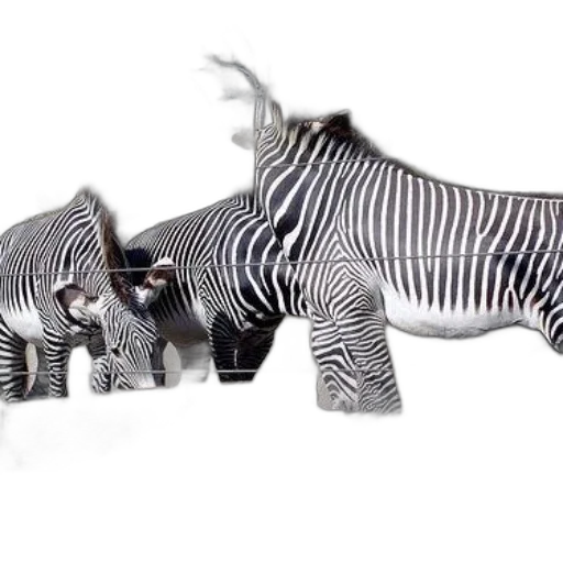 animal, jewelry, weapon, creature transparent PNG cut-out