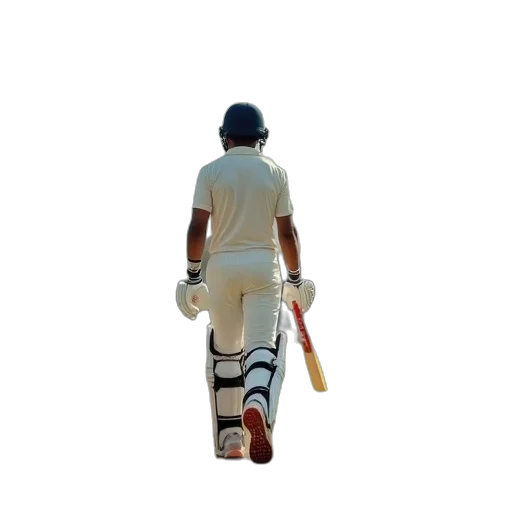 3d render, indian, players, cricket transparent PNG cut-out
