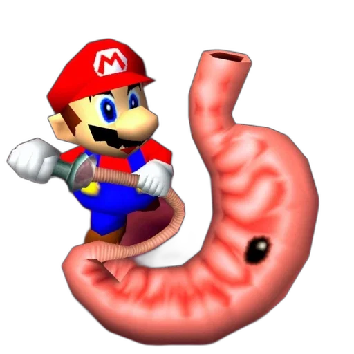 animal, food, creature, weapon transparent PNG cut-out