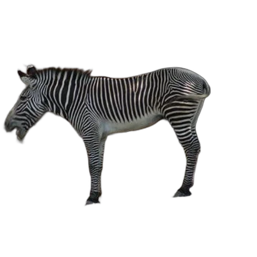 animal, creature, furniture, robot transparent PNG cut-out