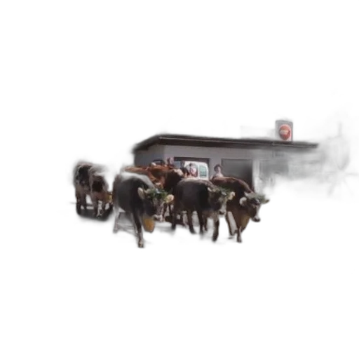 car, staff, concept art, photorealistic transparent PNG cut-out