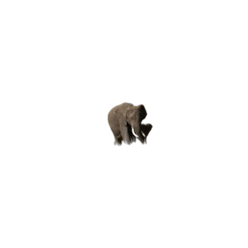 animal, creature, staff, hat transparent PNG cut-out